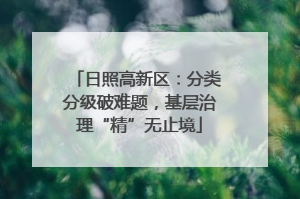 日照高新区：分类分级破难题，基层治理“精”无止境