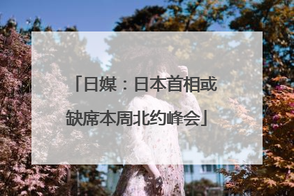 日媒：日本首相或缺席本周北约峰会