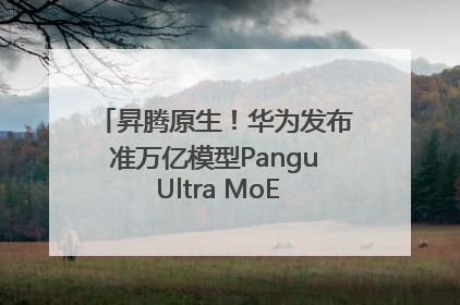 昇腾原生！华为发布准万亿模型Pangu Ultra MoE模型架构和训练细节