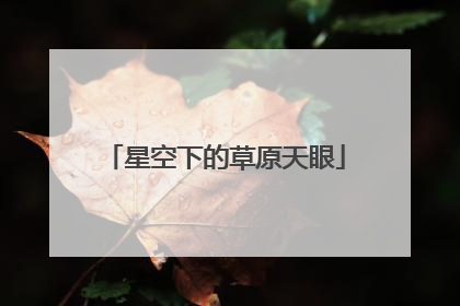 星空下的草原天眼