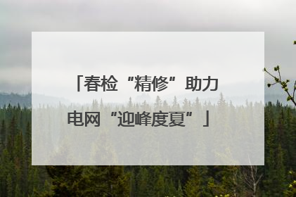 春检“精修”助力电网“迎峰度夏”