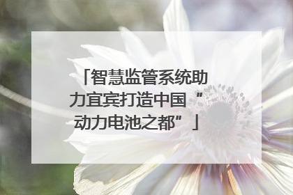 智慧监管系统助力宜宾打造中国“动力电池之都”