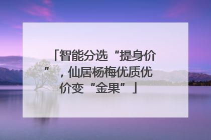 智能分选“提身价”，仙居杨梅优质优价变“金果”