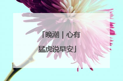 晚潮｜心有猛虎说早安