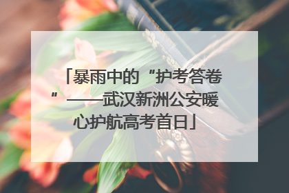 暴雨中的“护考答卷”——武汉新洲公安暖心护航高考首日