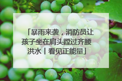 暴雨来袭，消防员让孩子坐在肩头蹚过齐腰洪水丨看见正能量