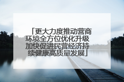 更大力度推动营商环境全方位优化升级加快促进民营经济持续健康高质量发展