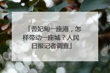 曹妃甸一座港，怎样带动一座城？人民日报记者调查