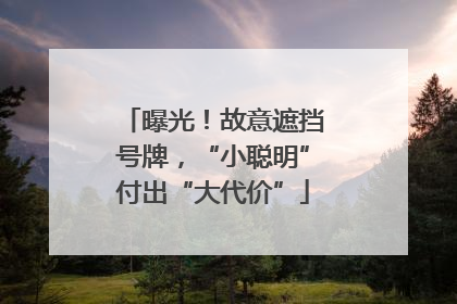 曝光！故意遮挡号牌，“小聪明”付出“大代价”