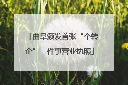 曲阜颁发首张“个转企”一件事营业执照