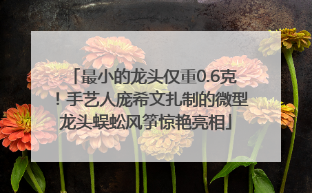 最小的龙头仅重0.6克！手艺人庞希文扎制的微型龙头蜈蚣风筝惊艳亮相