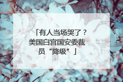 有人当场哭了？美国白宫国安委裁员“降级”