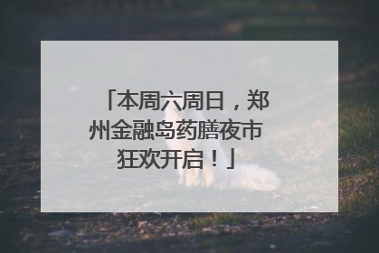 本周六周日，郑州金融岛药膳夜市狂欢开启！