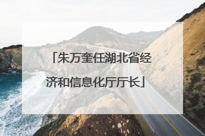 朱万奎任湖北省经济和信息化厅厅长
