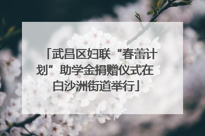 武昌区妇联“春蕾计划”助学金捐赠仪式在白沙洲街道举行