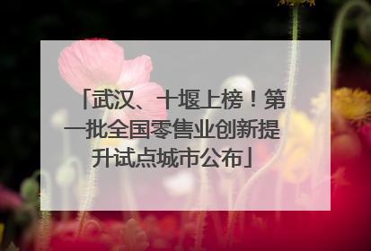 武汉、十堰上榜！第一批全国零售业创新提升试点城市公布