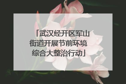 武汉经开区军山街道开展节前环境综合大整治行动