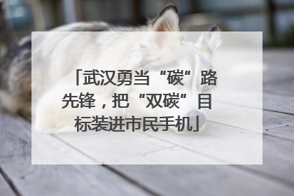 武汉勇当“碳”路先锋，把“双碳”目标装进市民手机