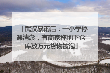 武汉暴雨后：一小学停课清淤，有商家称地下仓库数万元货物被泡