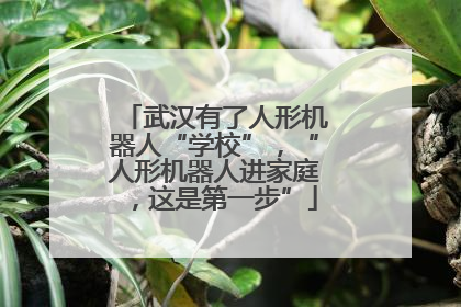 武汉有了人形机器人“学校”，“人形机器人进家庭，这是第一步”