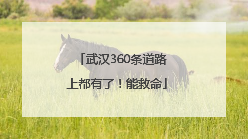 武汉360条道路上都有了！能救命