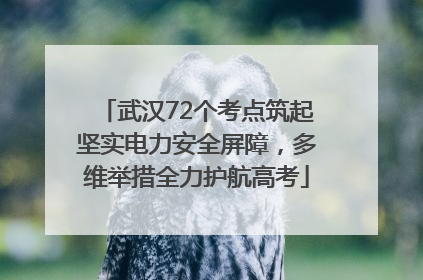武汉72个考点筑起坚实电力安全屏障，多维举措全力护航高考