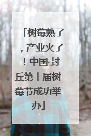 树莓熟了，产业火了！中国·封丘第十届树莓节成功举办