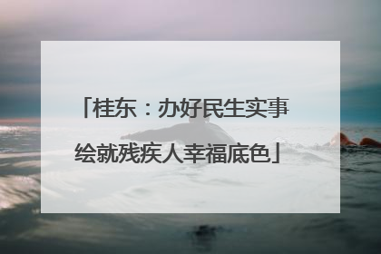 桂东：办好民生实事 绘就残疾人幸福底色