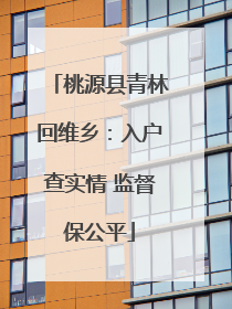 桃源县青林回维乡：入户查实情 监督保公平