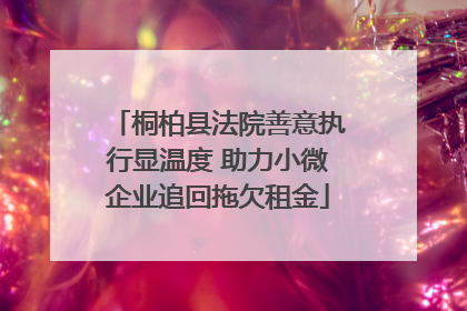 桐柏县法院善意执行显温度 助力小微企业追回拖欠租金