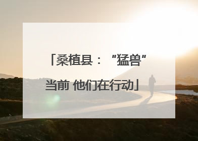 桑植县：“猛兽”当前 他们在行动