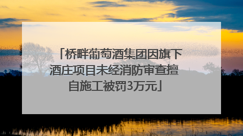 桥畔葡萄酒集团因旗下酒庄项目未经消防审查擅自施工被罚3万元