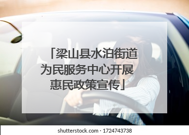 梁山县水泊街道为民服务中心开展惠民政策宣传