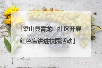 梁山县青龙山社区开展红色宣讲进校园活动