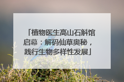 植物医生高山石斛馆启幕：解码仙草奥秘，践行生物多样性发展