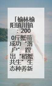 榆林榆阳镇川镇：2000斤蟹苗成功“落户” 蹚出“稻蟹共生”生态种养新路径