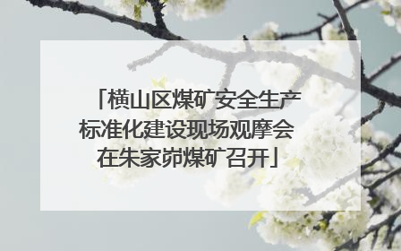 横山区煤矿安全生产标准化建设现场观摩会在朱家峁煤矿召开