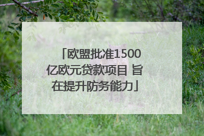 欧盟批准1500亿欧元贷款项目 旨在提升防务能力
