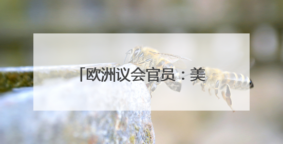 欧洲议会官员：美政府提高钢铝关税至50%毫无道理