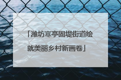 潍坊寒亭固堤街道绘就美丽乡村新画卷