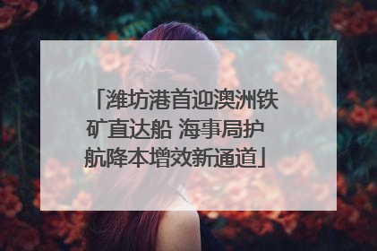 潍坊港首迎澳洲铁矿直达船 海事局护航降本增效新通道