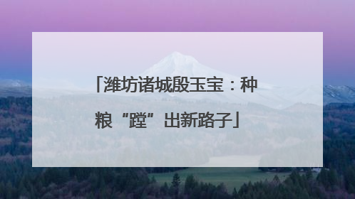 潍坊诸城殷玉宝：种粮“蹚”出新路子