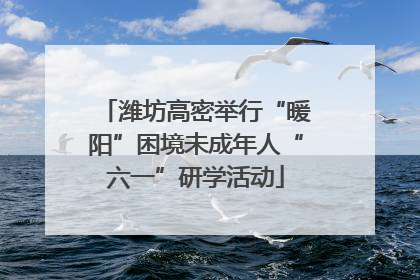 潍坊高密举行“暖阳”困境未成年人“六一”研学活动