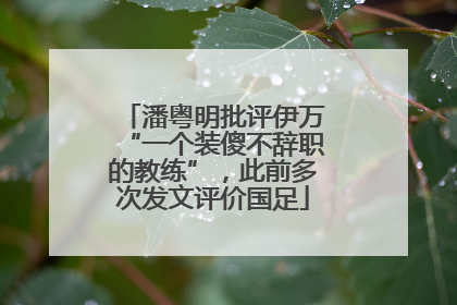 潘粤明批评伊万“一个装傻不辞职的教练”，此前多次发文评价国足