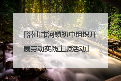 潜山市河镇初中组织开展劳动实践主题活动