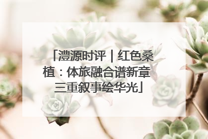 澧源时评｜红色桑植：体旅融合谱新章 三重叙事绘华光