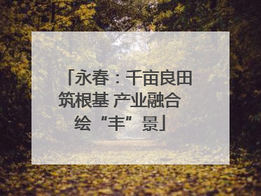 永春：千亩良田筑根基 产业融合绘“丰”景