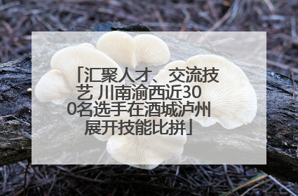 汇聚人才、交流技艺 川南渝西近300名选手在酒城泸州展开技能比拼