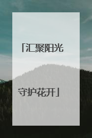 汇聚阳光 守护花开