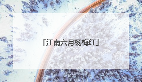 江南六月杨梅红